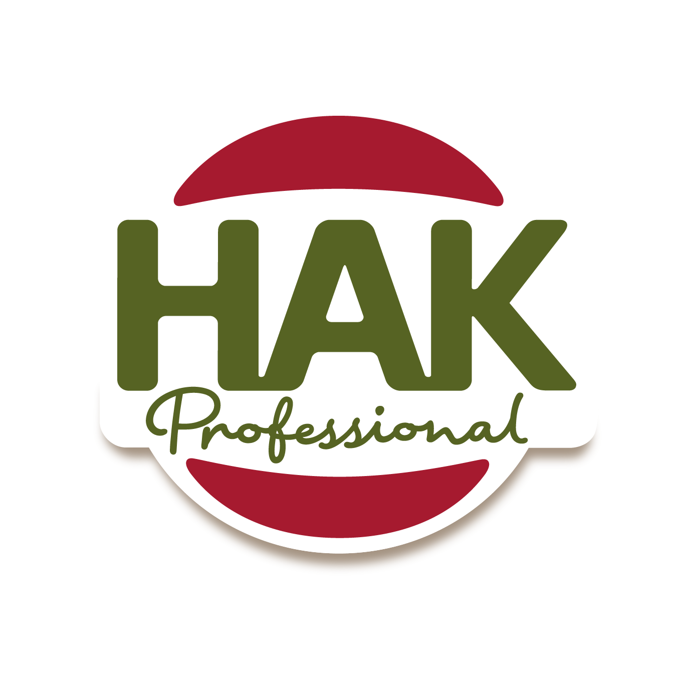 Hak Professional Logo Rgb