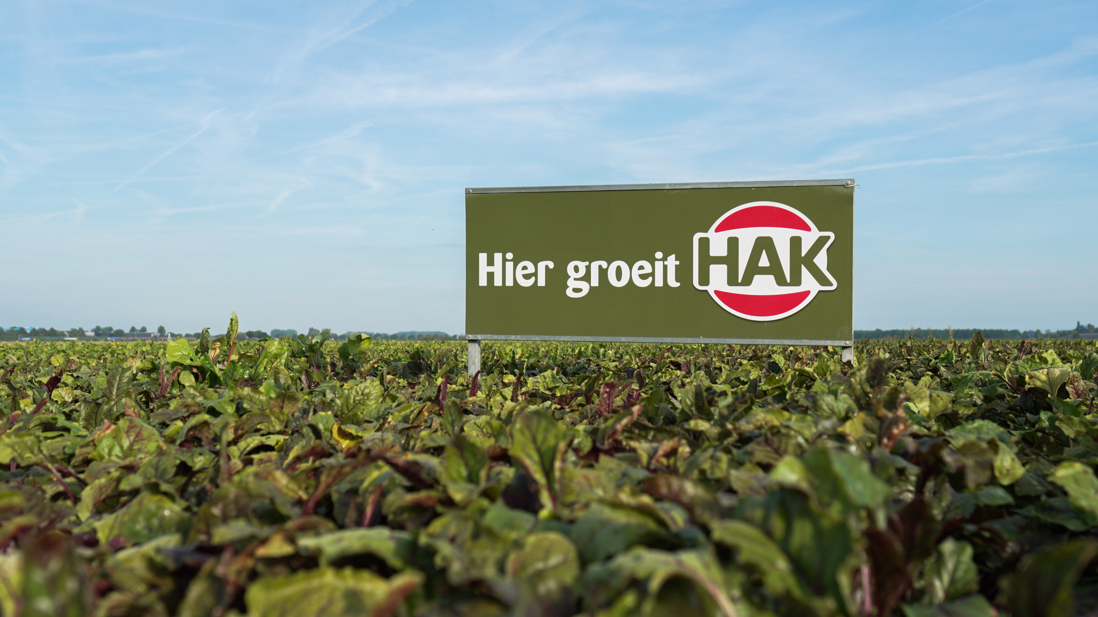 HAK bord in biologisch bietenveld